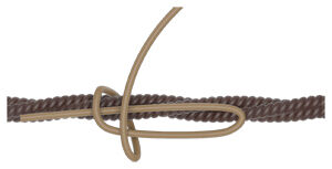 Whipping Knot